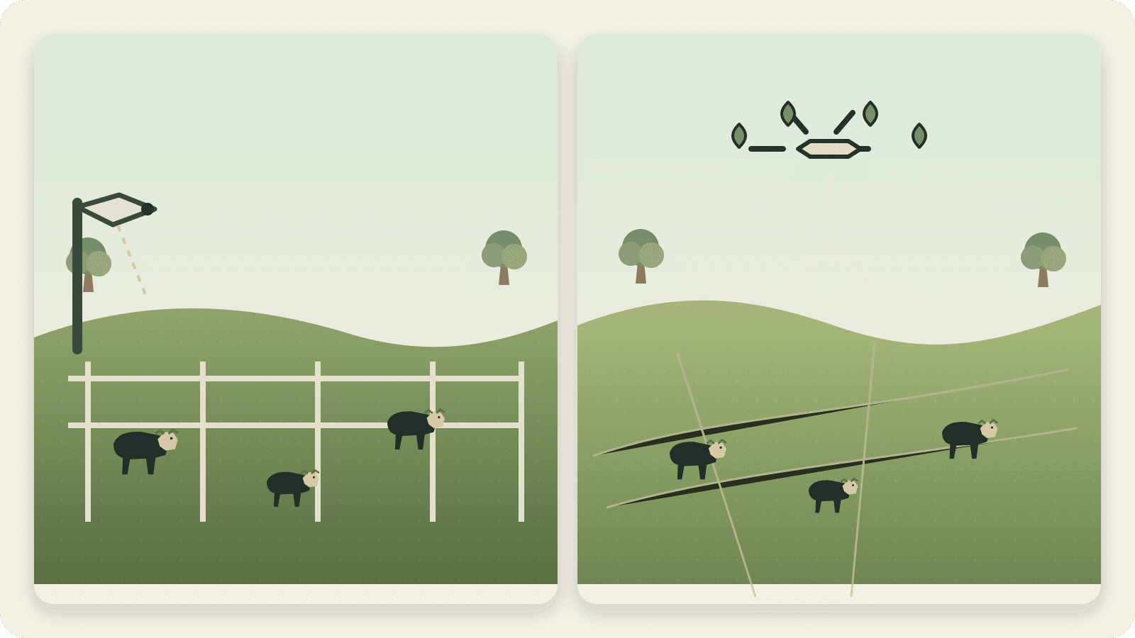 Fixed Cameras or Drones for Cattle Research? Start With the Question article cover