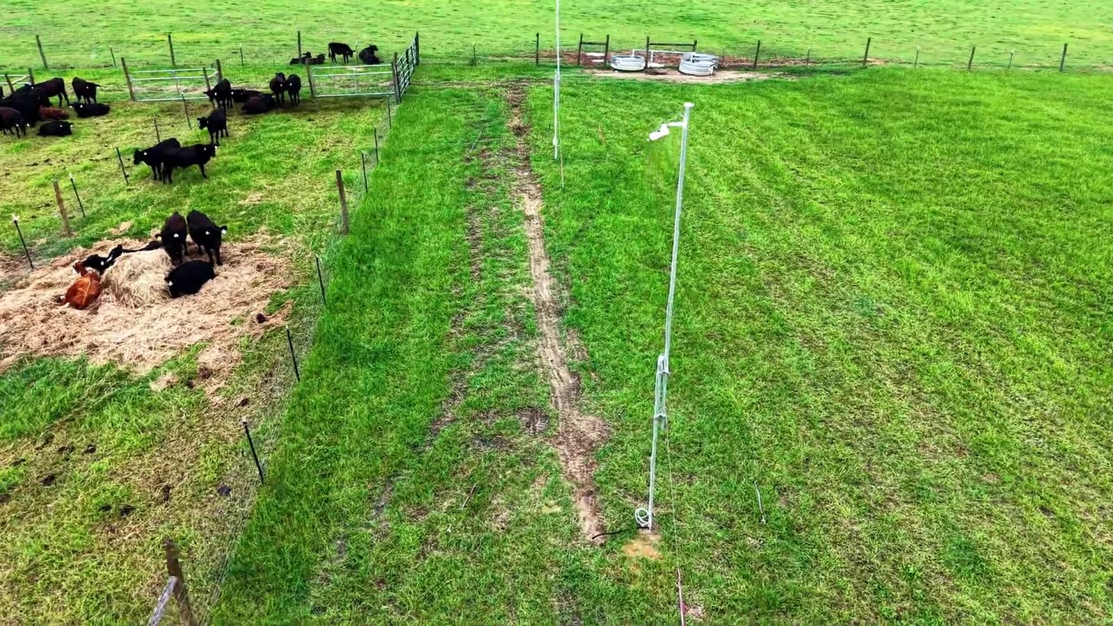 Aerial field-video still showing cattle in Tuskegee research pens and an installed camera mast