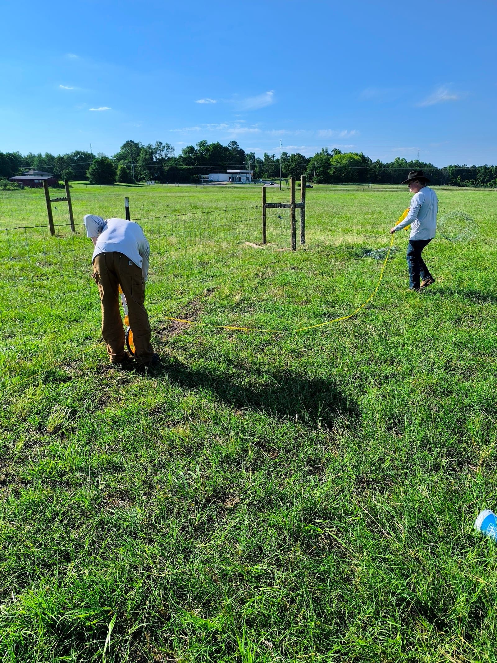 Fescue Toxicosis in Cattle: What to Watch and Record article cover